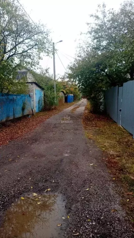 Участок в Воронежская область, Новоусманский район, Усманское 1-е ... - Фото 0