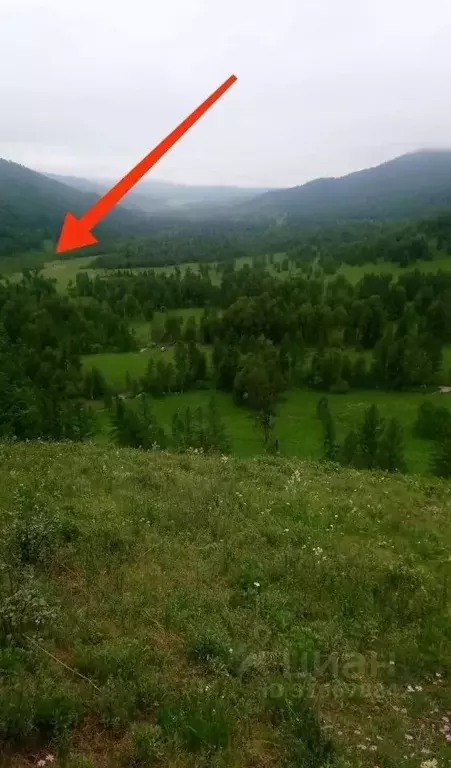 Участок в Алтай, Шебалинский район, с. Верх-Черга  (251.0 сот.) - Фото 2