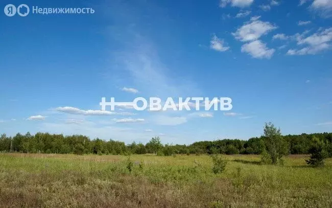 Участок в Убинский район, Владимировский сельсовет (13740 м) - Фото 1