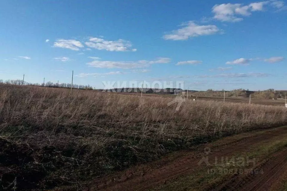 Участок в Белгородская область, Белгородский район, Беломестненское ... - Фото 1