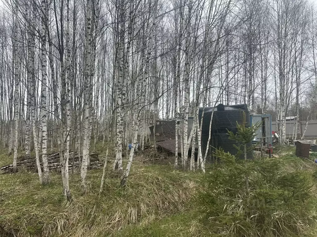 Участок в Московская область, Рузский муниципальный округ, д. Лобково  ... - Фото 1
