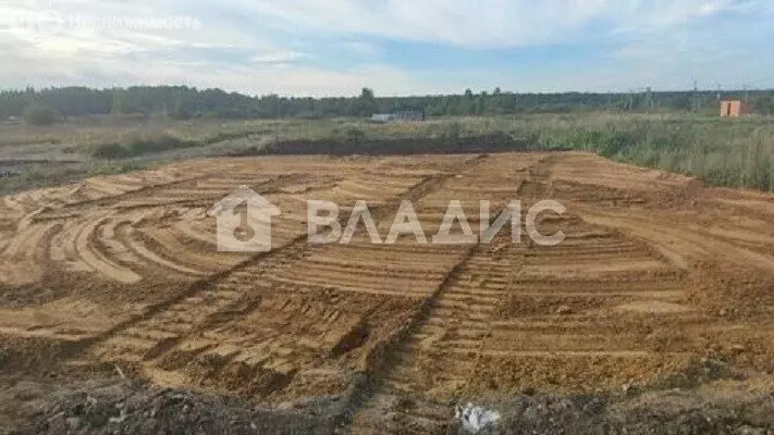 Участок в Оржицкое сельское поселение, урочище Брандовка (6.59 м) - Фото 1