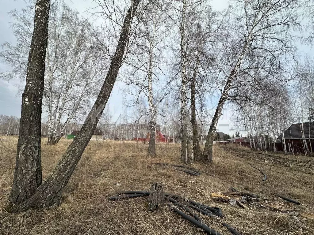 Участок в Новосибирская область, Новосибирский район, с. Боровое ул. ... - Фото 2