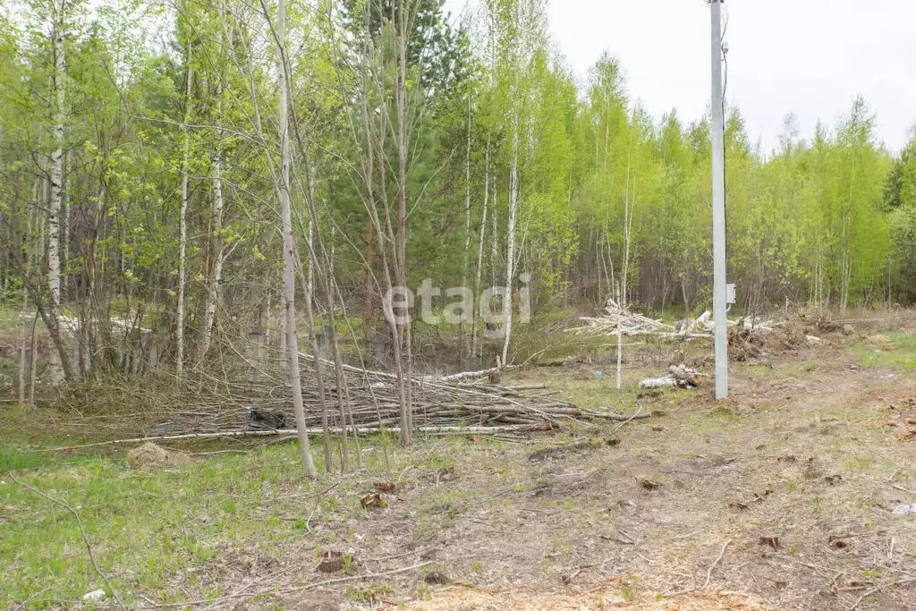 Участок в Тобольск, микрорайон Защитино (8 м) - Фото 1