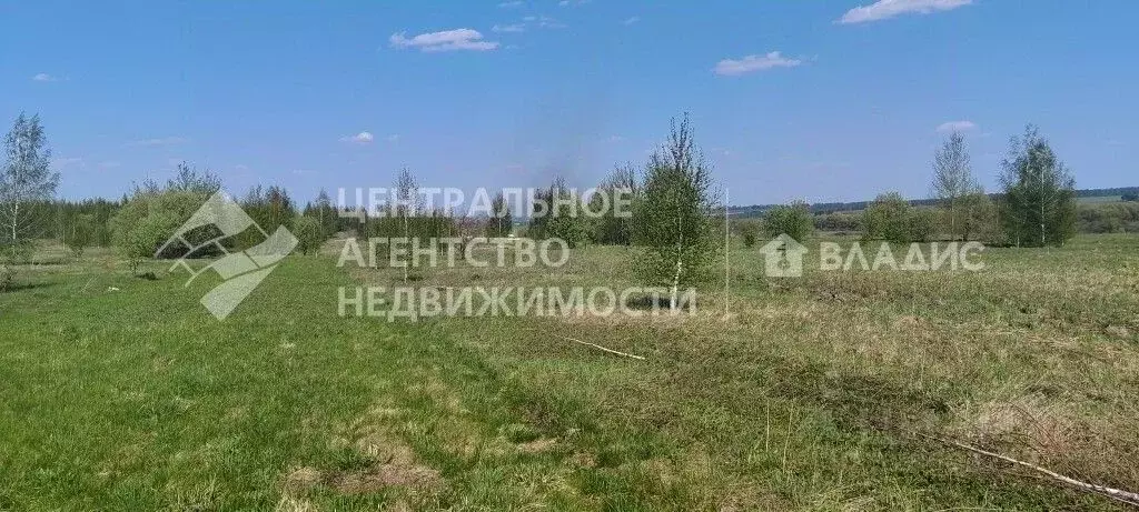 Участок в Рязанская область, Рязанский муниципальный округ, д. Рожок  ... - Фото 2