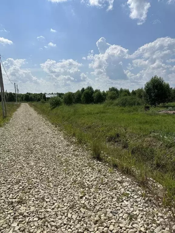 Участок в Ленинградская область, Ломоносовский район, Пениковское ... - Фото 1