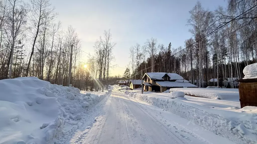 Участок в Новосибирская область, с. Новолуговое ул. Уральская (10.0 ... - Фото 1