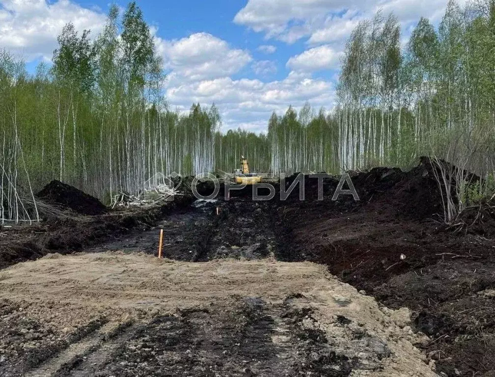 Участок в Тюменская область, Тюменский район, Новотарманское ... - Фото 1