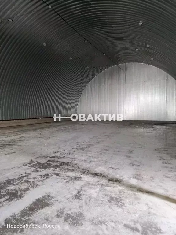 Склад в Новосибирская область, Новосибирск Молодость СНТ, ул. ... - Фото 1