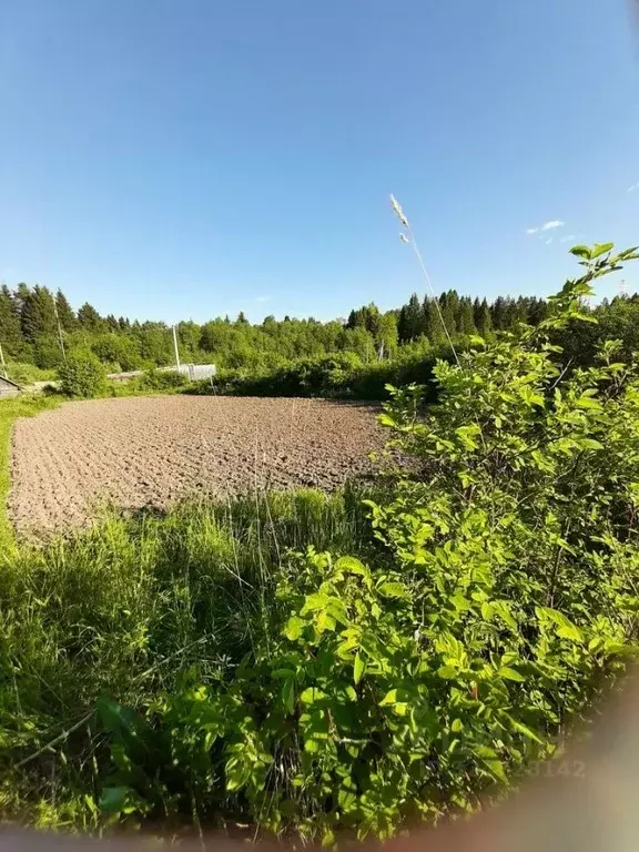 Участок в Вологодская область, Великоустюгский муниципальный округ, д. ... - Фото 2