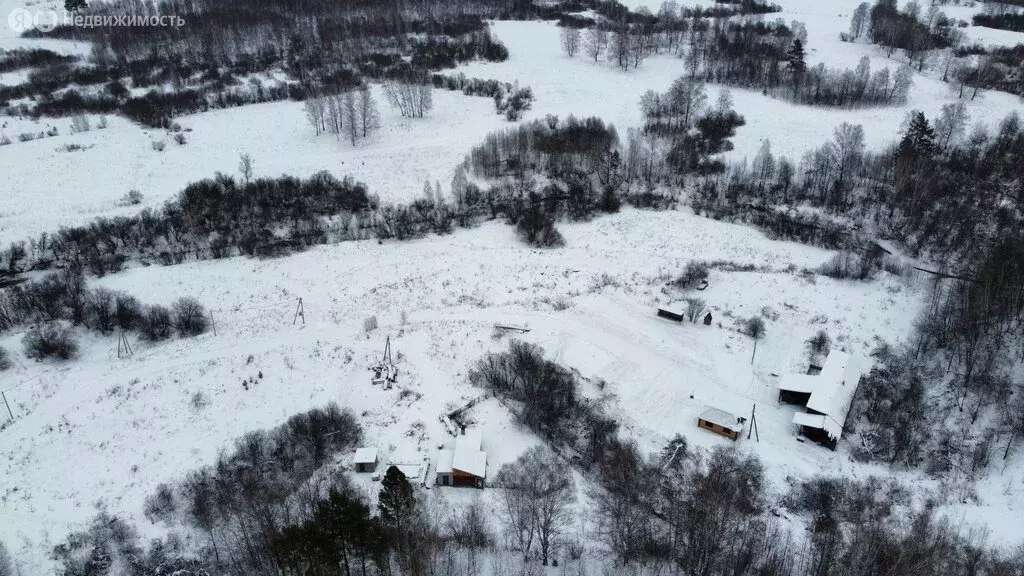 Участок в Томский район, Богашёвское сельское поселение, село Лучаново ... - Фото 2
