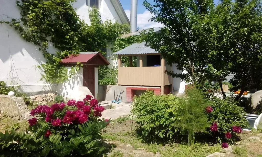 Продается дом в с. Анискино - Фото 1