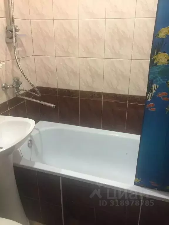 Комната Краснодарский край, Сочи ул. Дарвина, 78А - Фото 1
