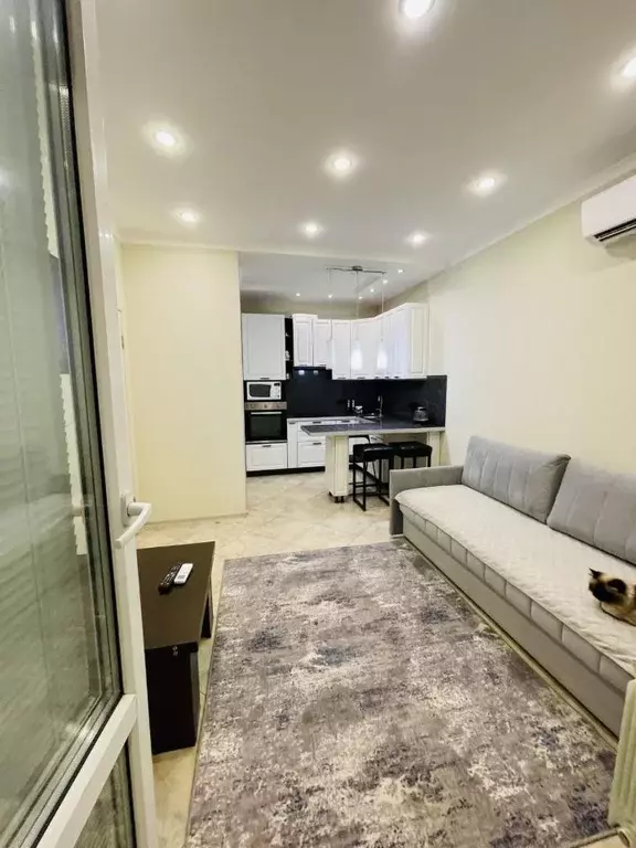 1-к кв. Московская область, Люберцы Зенино ЖК Самолет мкр, ул. Камова, ... - Фото 2