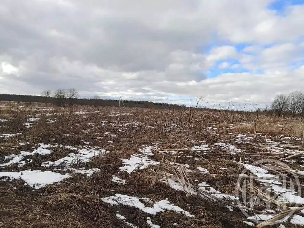 Участок в Ленинградская область, Волосовский район, Рабитицкое с/пос, ... - Фото 2
