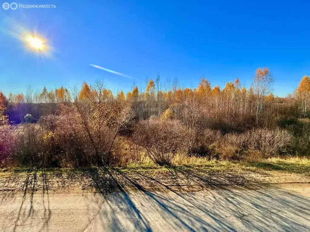 Участок в Тюменская область, Тобольский муниципальный округ, ... - Фото 0