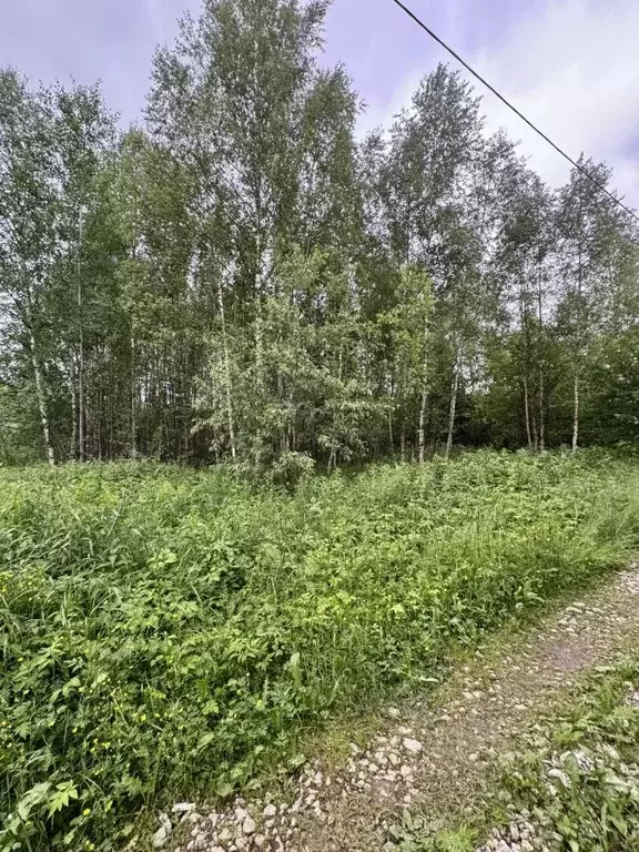 Участок в Ивановская область, Ивановский муниципальный округ, Утро СНТ ... - Фото 2