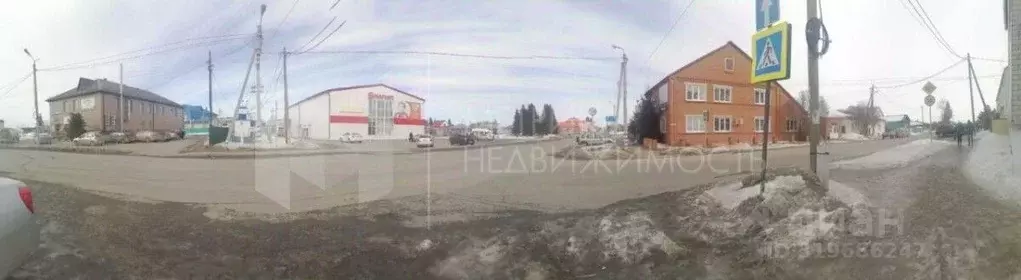 Коттедж в Тюменская область, с. Упорово ул. Чивилева, 1 (390 м) - Фото 1