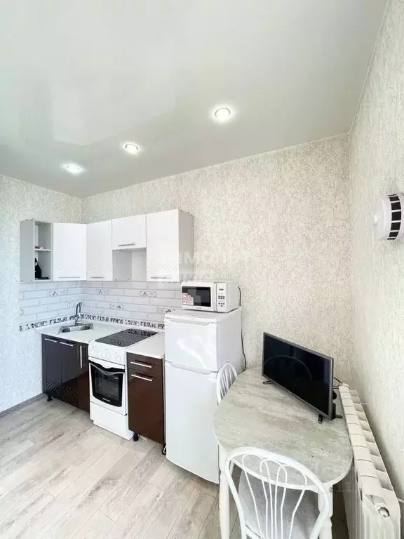 Студия Забайкальский край, Чита ул. Курнатовского, 70 (27.0 м) - Фото 0