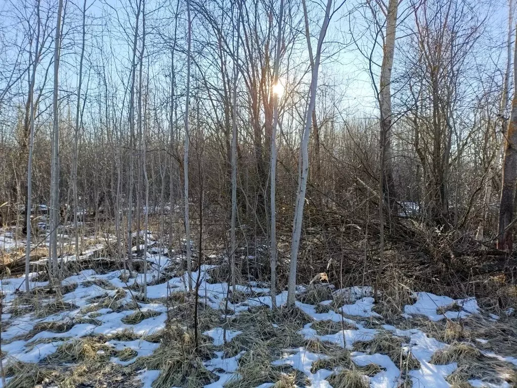 Участок в Московская область, Воскресенск городской округ, д. Щельпино ... - Фото 0