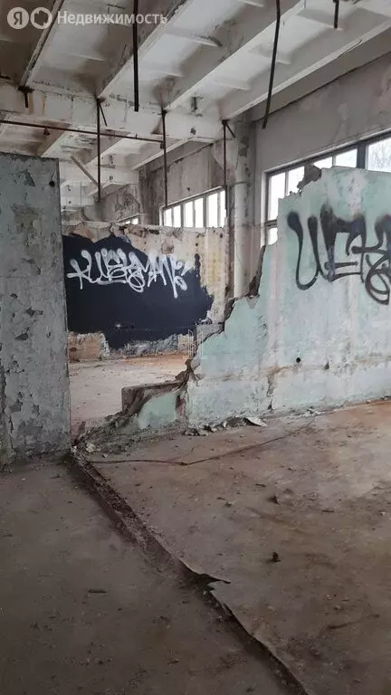 Помещение свободного назначения (900 м) - Фото 2