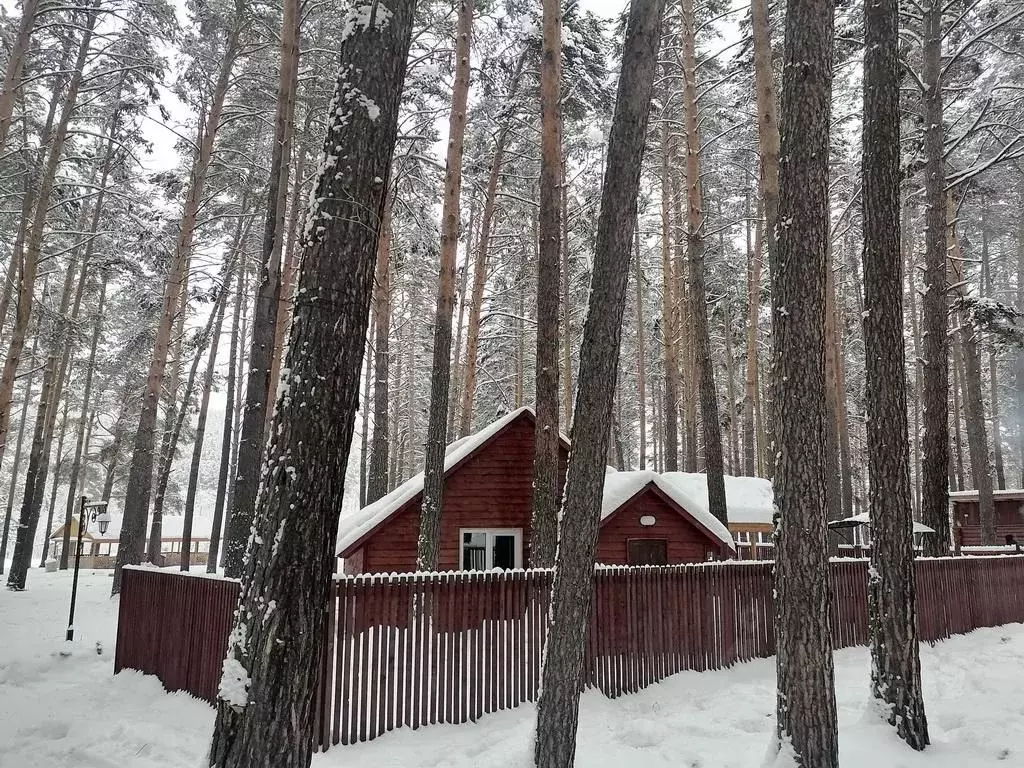 Дом в Башкортостан, Белорецк Курортная ул., 1А (40 м) - Фото 2