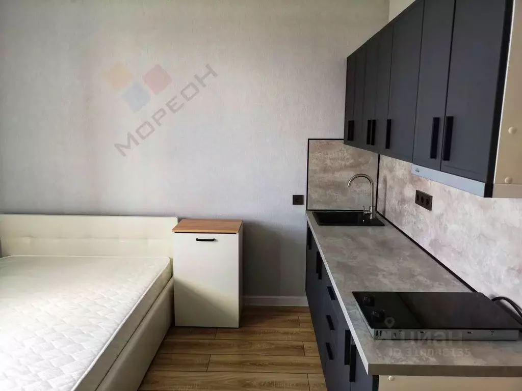 Студия Краснодарский край, Краснодар ул. Ивана Беличенко, 103 (20.1 м) - Фото 1