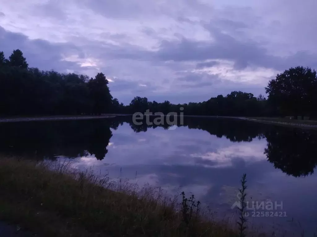 Дом в Удмуртия, Завьяловский район, Ветеран-2 СНТ  (33 м) - Фото 0