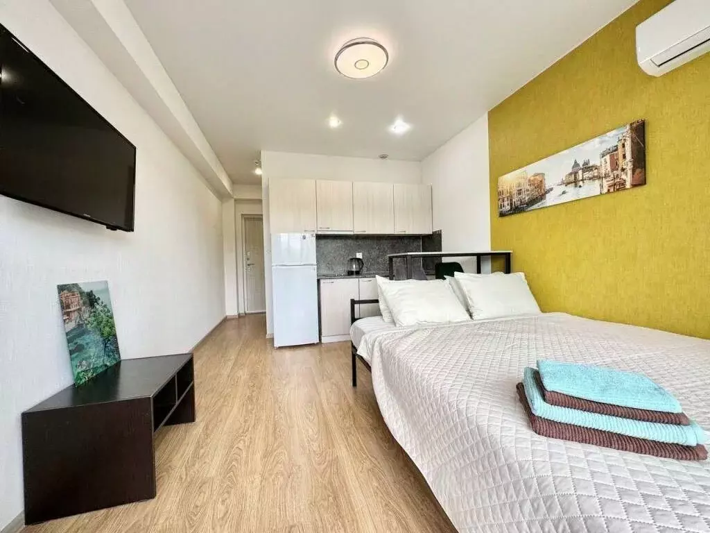 1-к кв. Краснодарский край, Сочи городской округ, Дагомыс пгт ул. ... - Фото 1