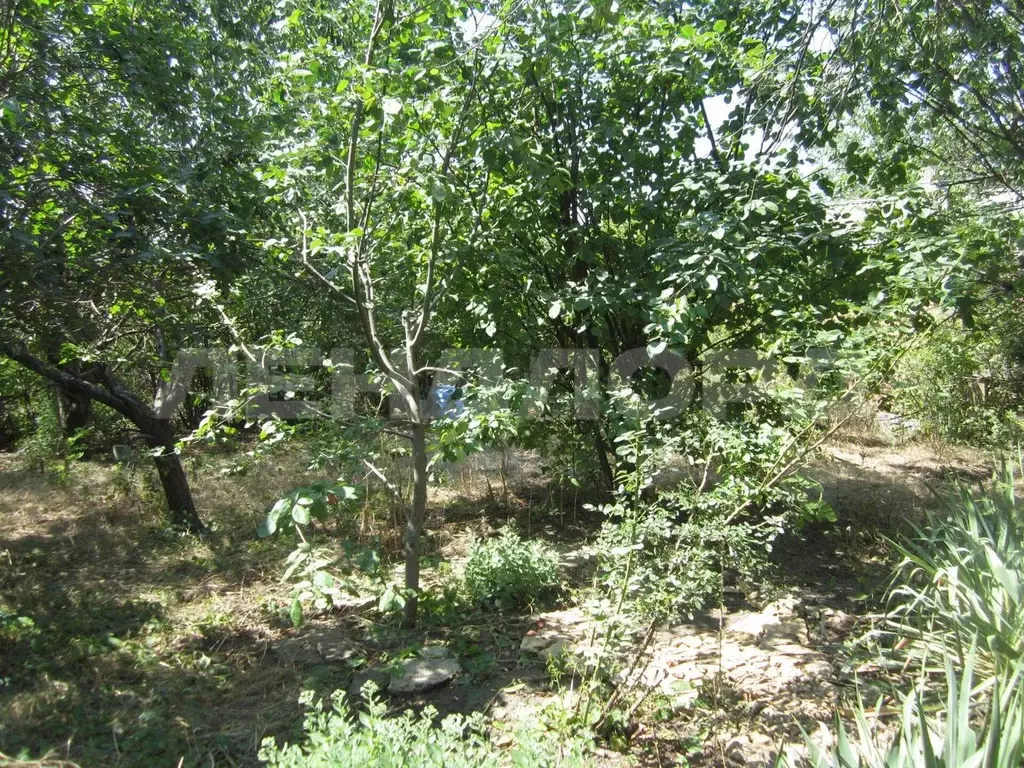 Участок в Ростовская область, Неклиновский район, с. Синявское, ... - Фото 2