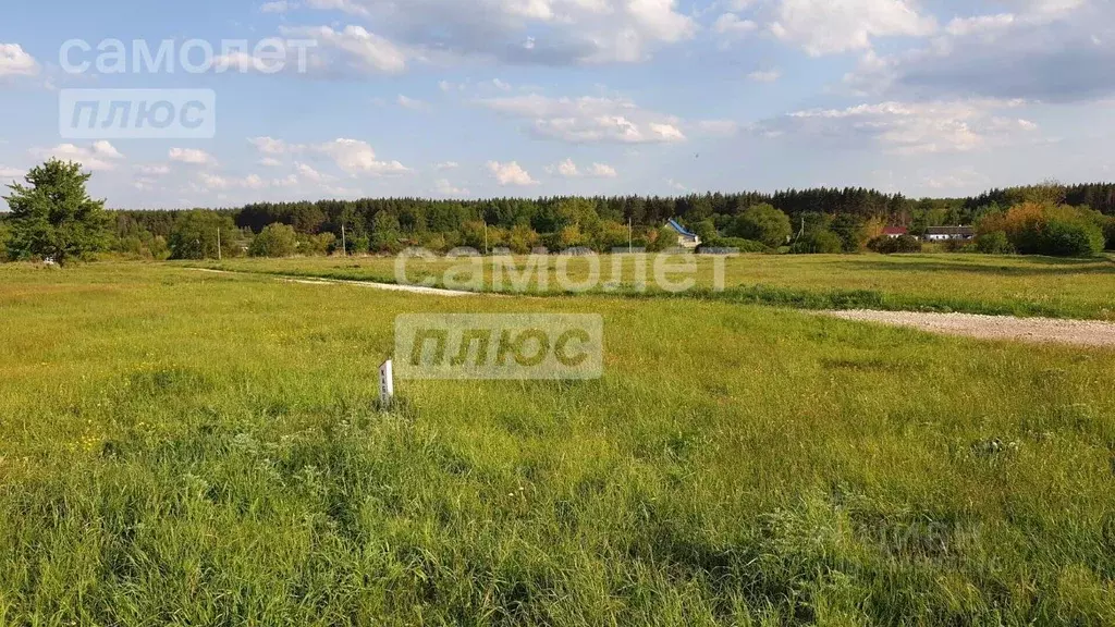 Участок в Липецкая область, Задонский район, Скорняковский сельсовет, ... - Фото 0