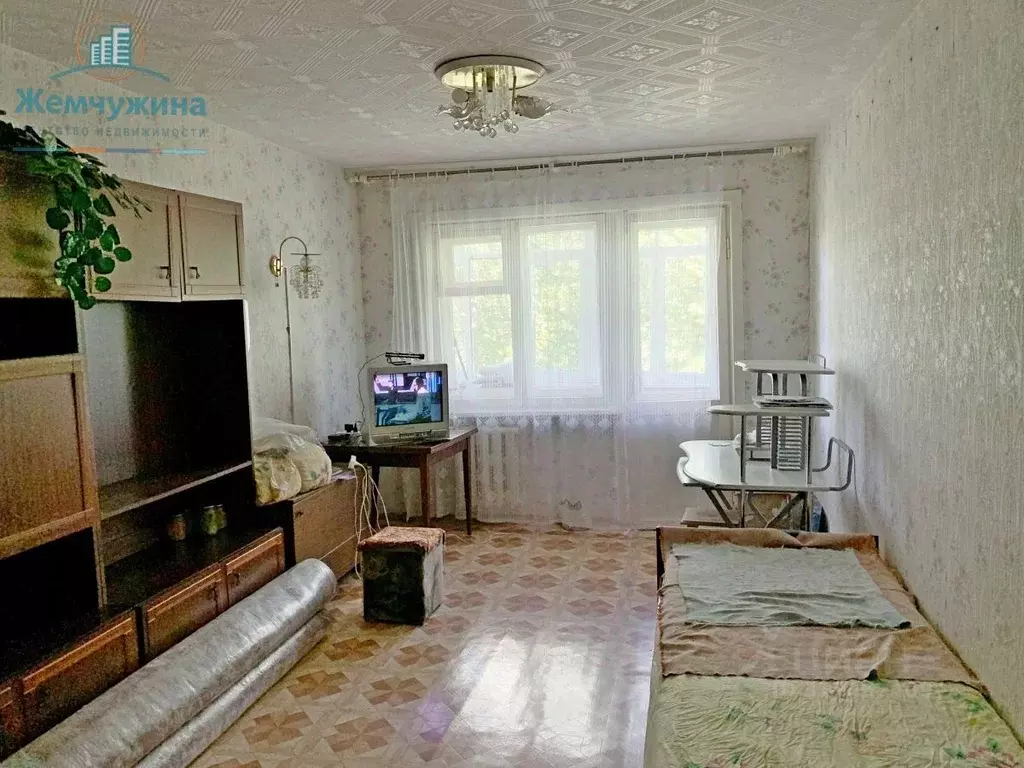 2-к кв. Ульяновская область, Димитровград ул. Курчатова, 16 (45.0 м) - Фото 0