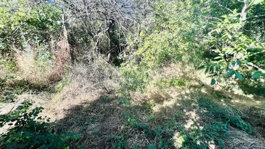 Участок в Крым, Судак муниципальный округ, с. Веселое ул. Специалистов ... - Фото 1