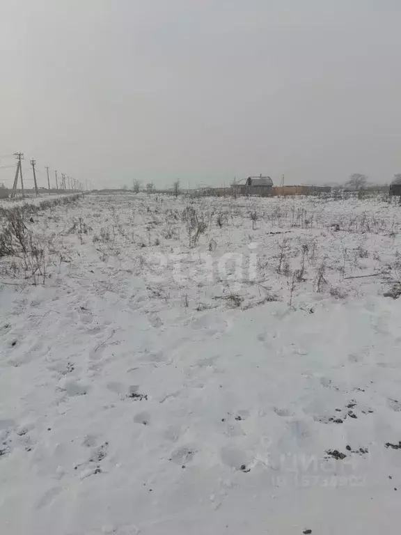 Участок в Хакасия, Усть-Абаканский район, пос. Ташеба ул. Трудовая ... - Фото 1