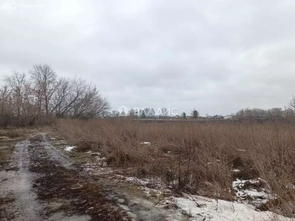 Участок в Рыбновский район, Ходынинское сельское поселение, село ... - Фото 0