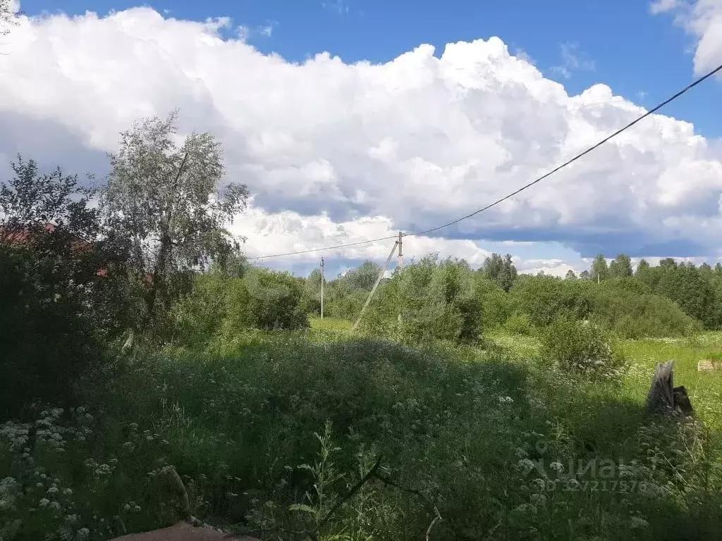 Участок в Костромская область, Кострома Ипатьевская Слобода мкр,  ... - Фото 2