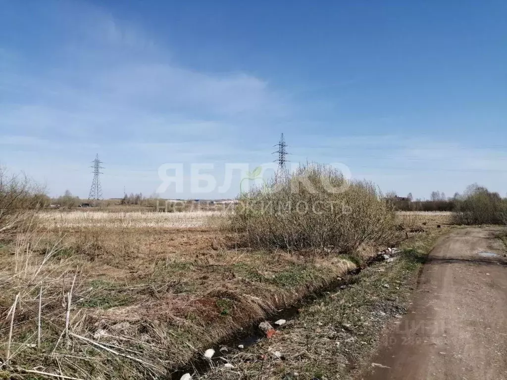 Участок в Пермский край, Березники ул. Рылеева, 5 (7.5 сот.) - Фото 2