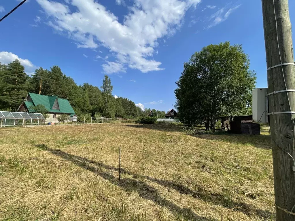 Участок в Ленинградская область, Лодейнопольский район, Янегское ... - Фото 0