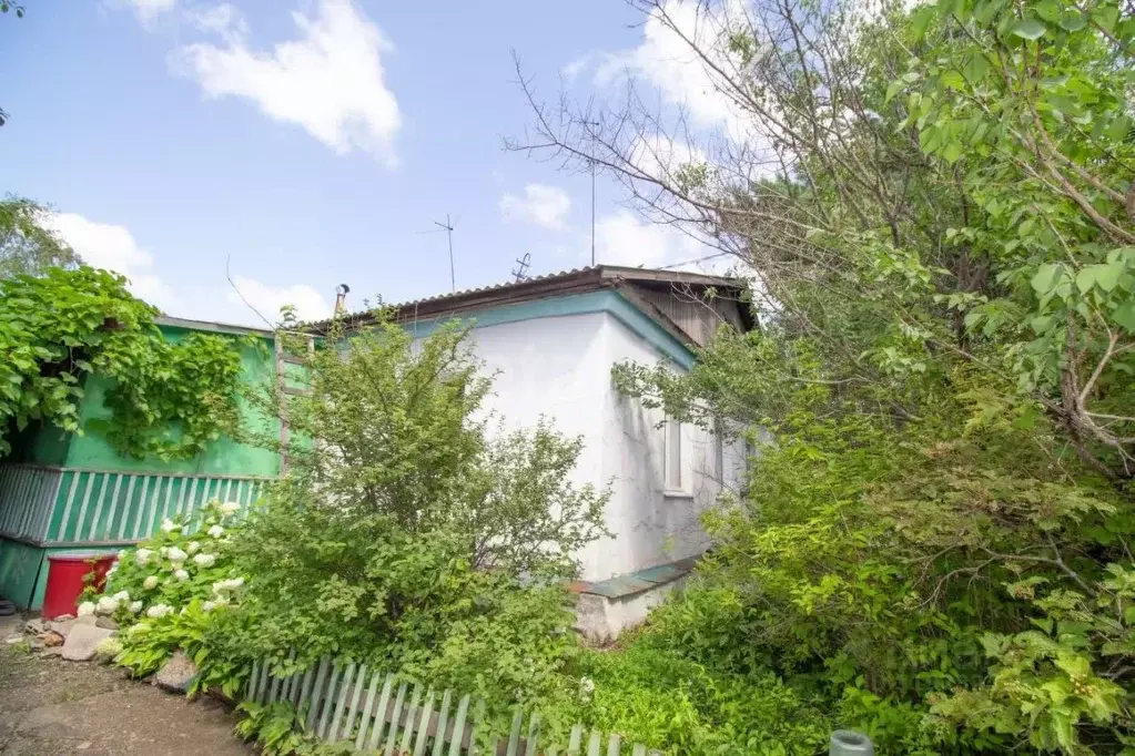 Дом в Амурская область, с. Ивановка пер. Высокий, 1 (82 м) - Фото 1