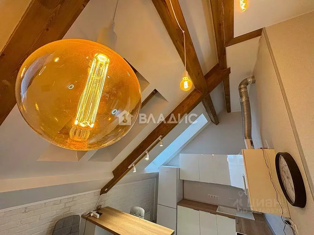 Студия Московская область, Истра муниципальный округ, д. Писково 121 ... - Фото 1