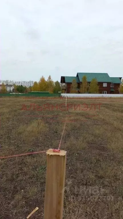 Участок в Новосибирская область, Новосибирский район, Морской ... - Фото 1