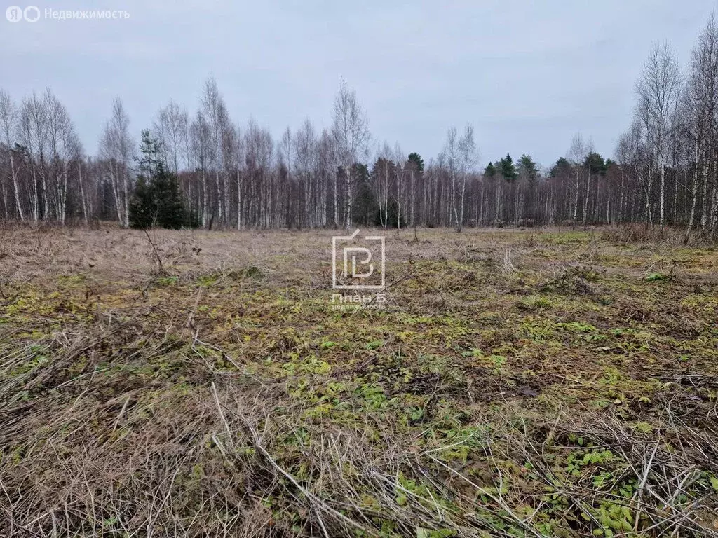 Участок в городской округ Калуга, деревня Матюнино (13.5 м) - Фото 0