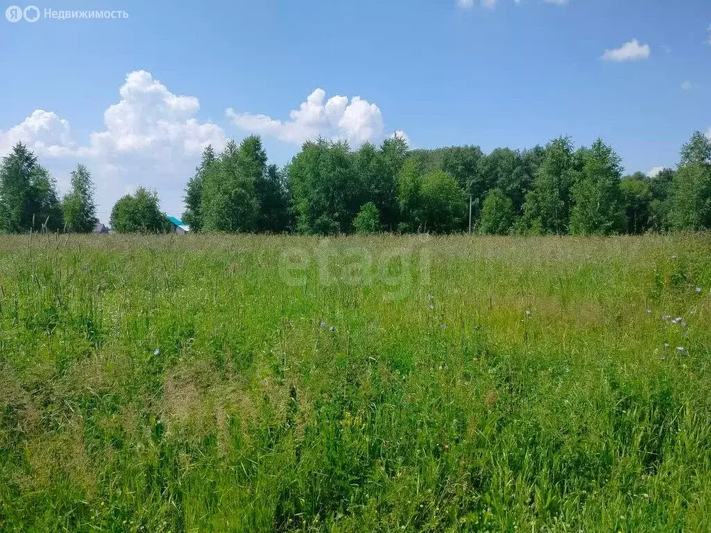 Участок в Искитимский район, село Морозово (9 м) - Фото 1