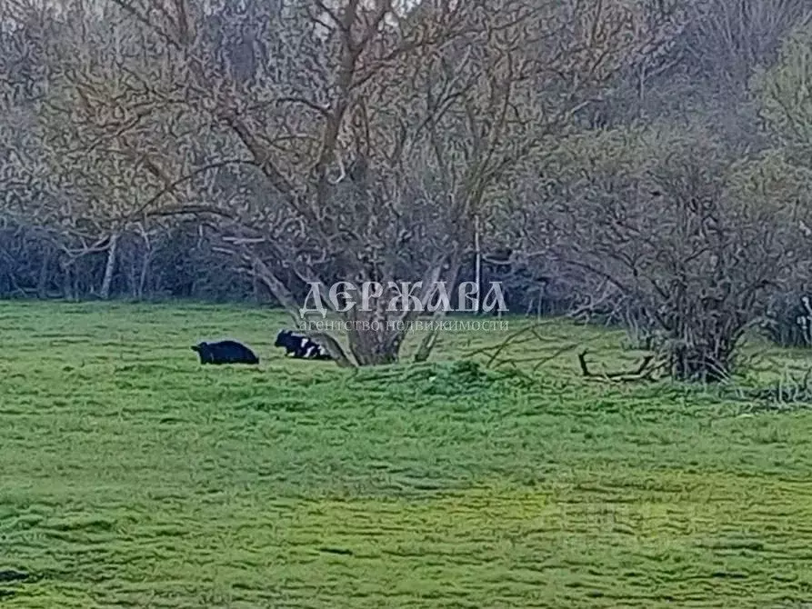 Дом в Белгородская область, Старооскольский городской округ, с. ... - Фото 1