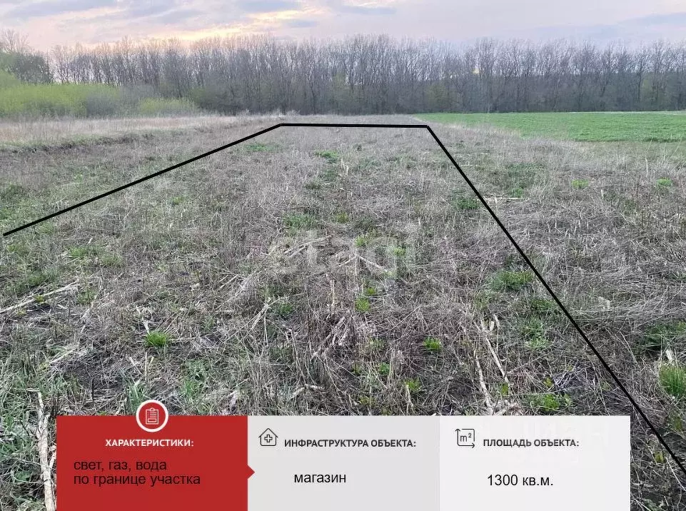 Участок в Белгородская область, с. Богородицкое ул. Центральная (13.0 ... - Фото 1