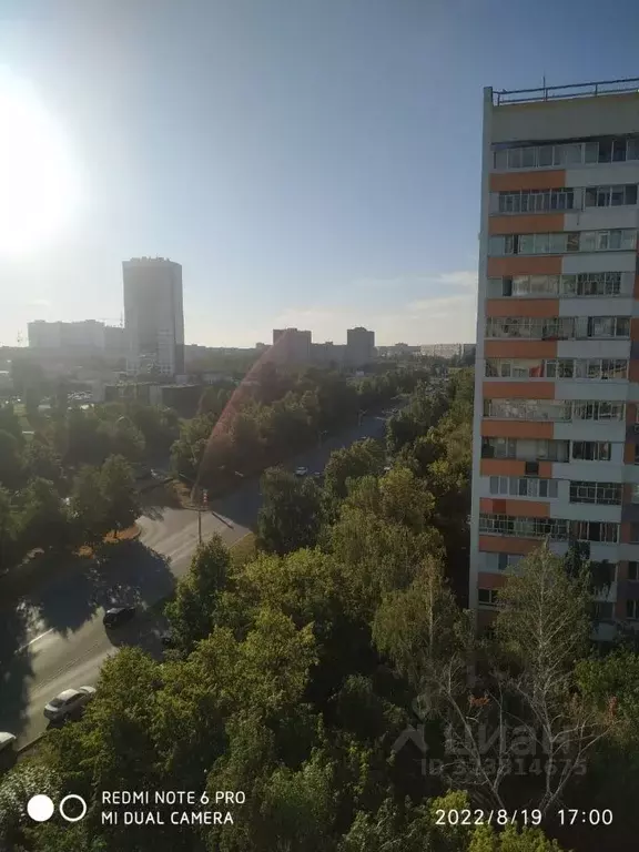 2-к кв. Татарстан, Набережные Челны 7-й комплекс, 6 (38.5 м) - Фото 2