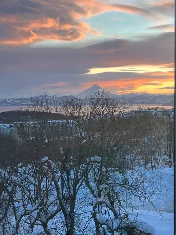 2-к кв. Камчатский край, Петропавловск-Камчатский ул. Абеля, 29 (43.0 ... - Фото 2