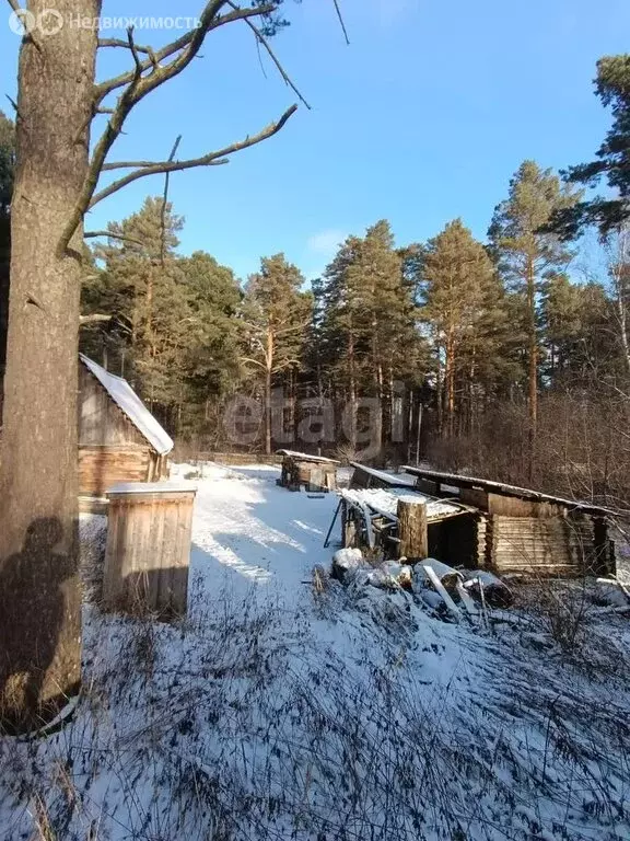 Участок в Томск, посёлок Басандайка (15.25 м) - Фото 1