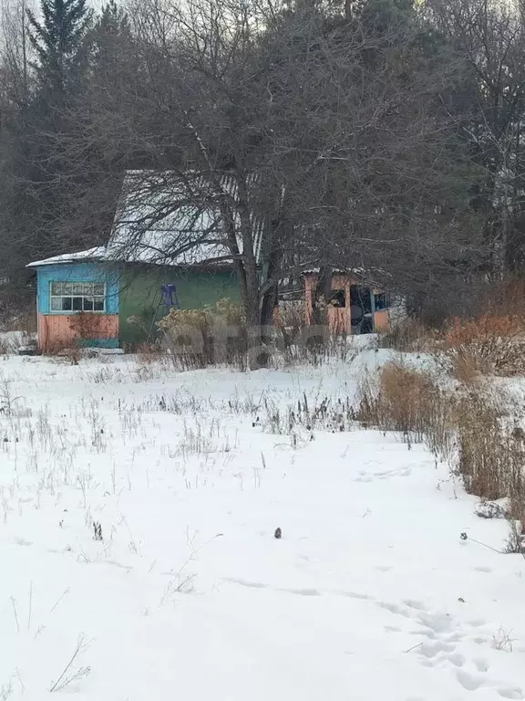 Участок в Амурская область, Благовещенский район, с. Чигири, ... - Фото 2