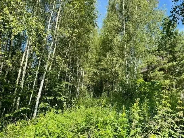 Участок в Московская область, Рузский муниципальный округ, с. ... - Фото 0